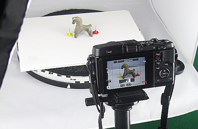 Pferdchen im Lichtzelt